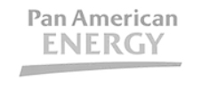 Logo Pan American Energy