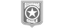 Logo aduanas